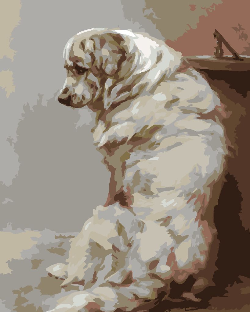 zuty Malování podle čísel - VELKÝ BÍLÝ PES - Rozměr: 40x50 cm, Rámování: Varianta: bez rámu a bez vypnutí plátna - obrázek 9