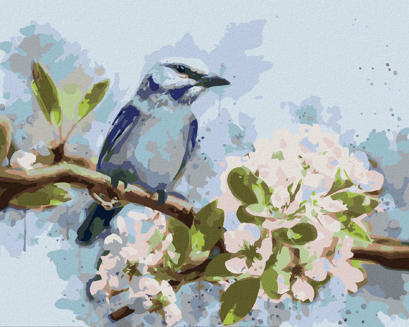zuty Malování podle čísel - MODRÝ PTÁK NA ROZKVETLÉ TŘEŠNI - Rozměr: 40x50 cm, Rámování: Varianta: vypnuté plátno na rám - obrázek 1