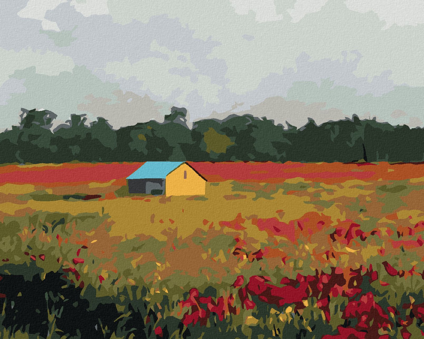 zuty Malování podle čísel - DOMEK A VLČÍ MÁKY - Rozměr: 40x50 cm, Rámování: Varianta: bez rámu a bez vypnutí plátna - obrázek 1