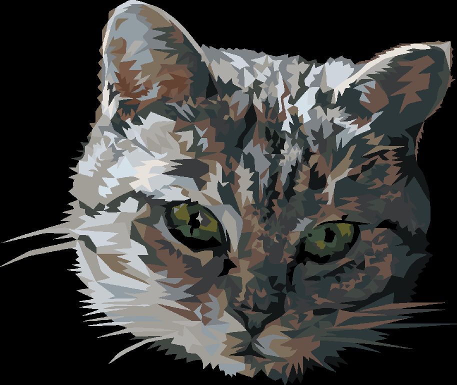 zuty Malování podle čísel - ŠEDÁ KOČKA PORTRÉT - Rozměr: 40x50 cm, Rámování: Varianta: vypnuté plátno na rám - obrázek 8
