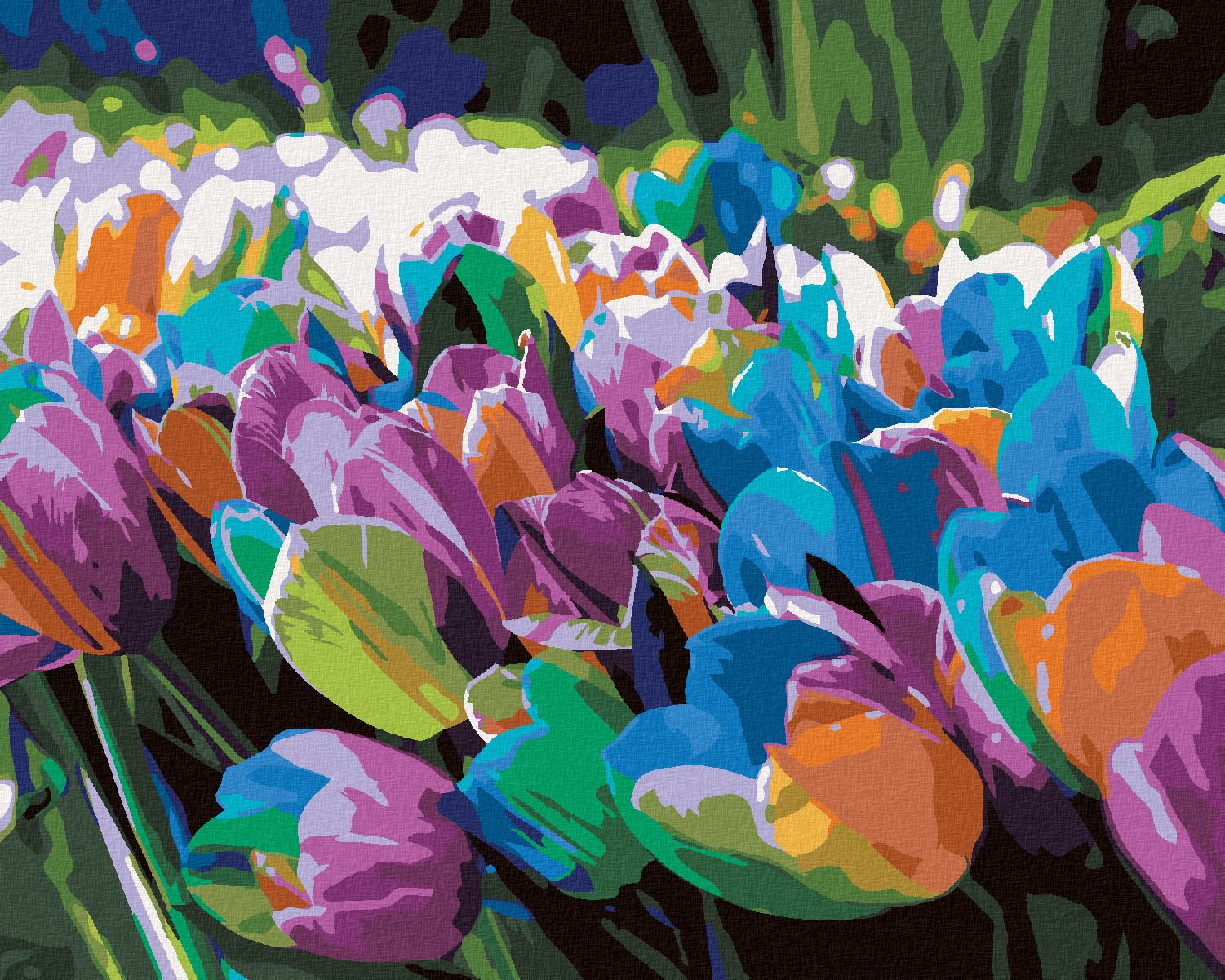 zuty Malování podle čísel - DUHOVÉ TULIPÁNY - Rozměr: 40x50 cm, Rámování: Varianta: vypnuté plátno na rám - obrázek 1