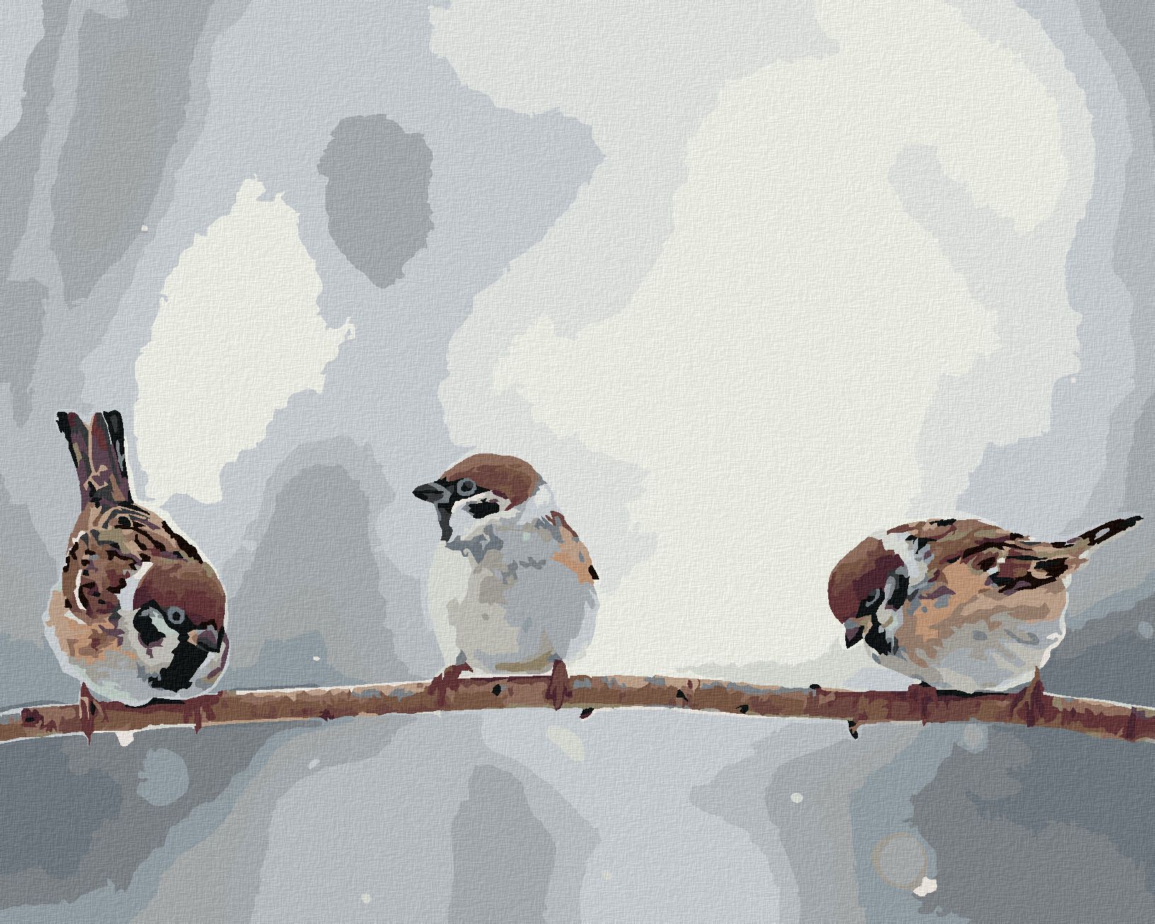 zuty Malování podle čísel - MALÍ PTÁČCI NA VĚTVI - Rozměr: 40x50 cm, Rámování: Varianta: bez rámu a bez vypnutí plátna - obrázek 1
