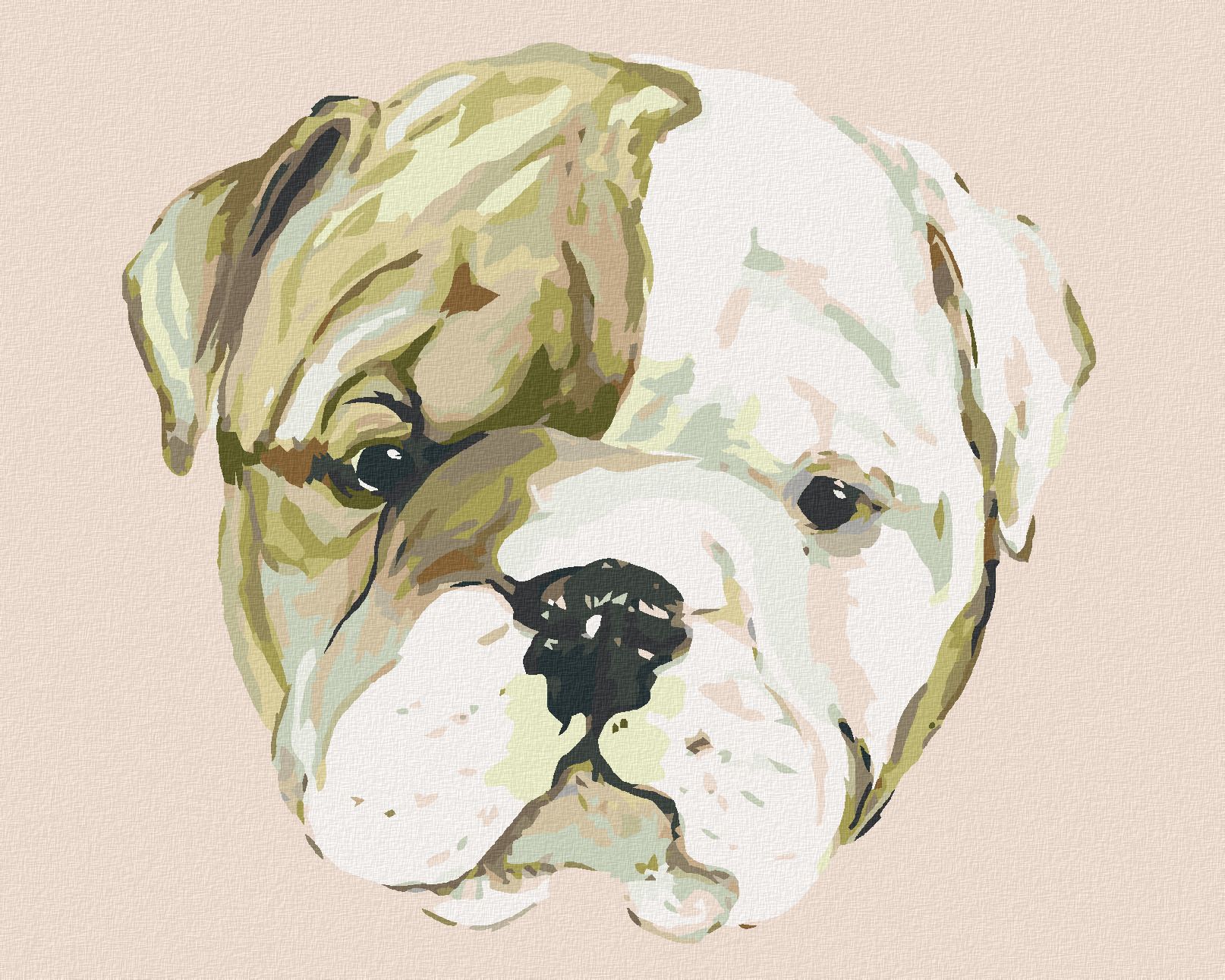 zuty Malování podle čísel - ŠTĚNÁTKO BULLDOGA (HALEY BUSH) - Rozměr: 40x50 cm, Rámování: Varianta: bez rámu a bez vypnutí plátna - obrázek 1