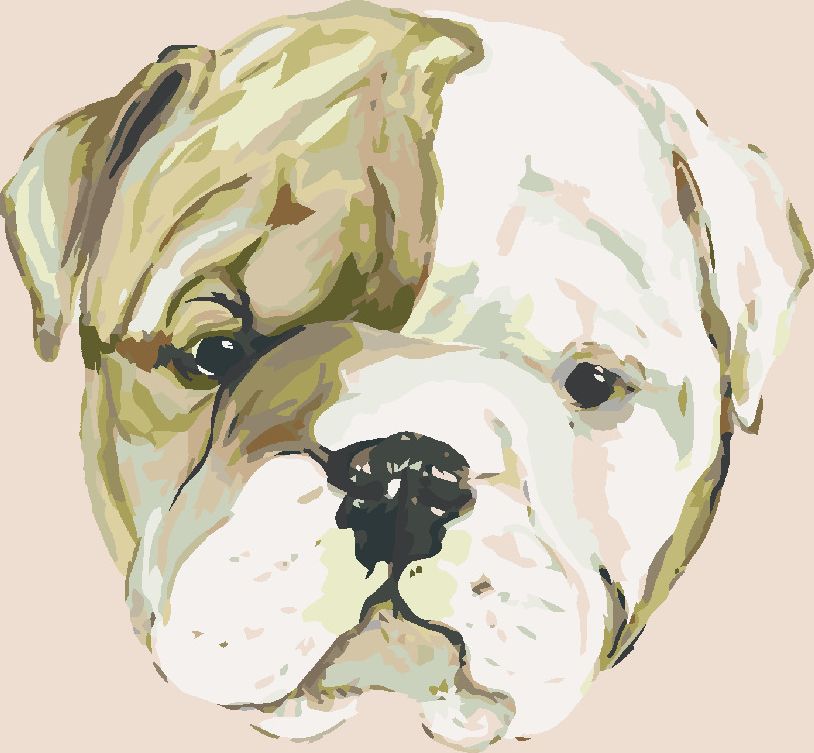 zuty Malování podle čísel - ŠTĚNÁTKO BULLDOGA (HALEY BUSH) - Rozměr: 40x50 cm, Rámování: Varianta: bez rámu a bez vypnutí plátna - obrázek 3
