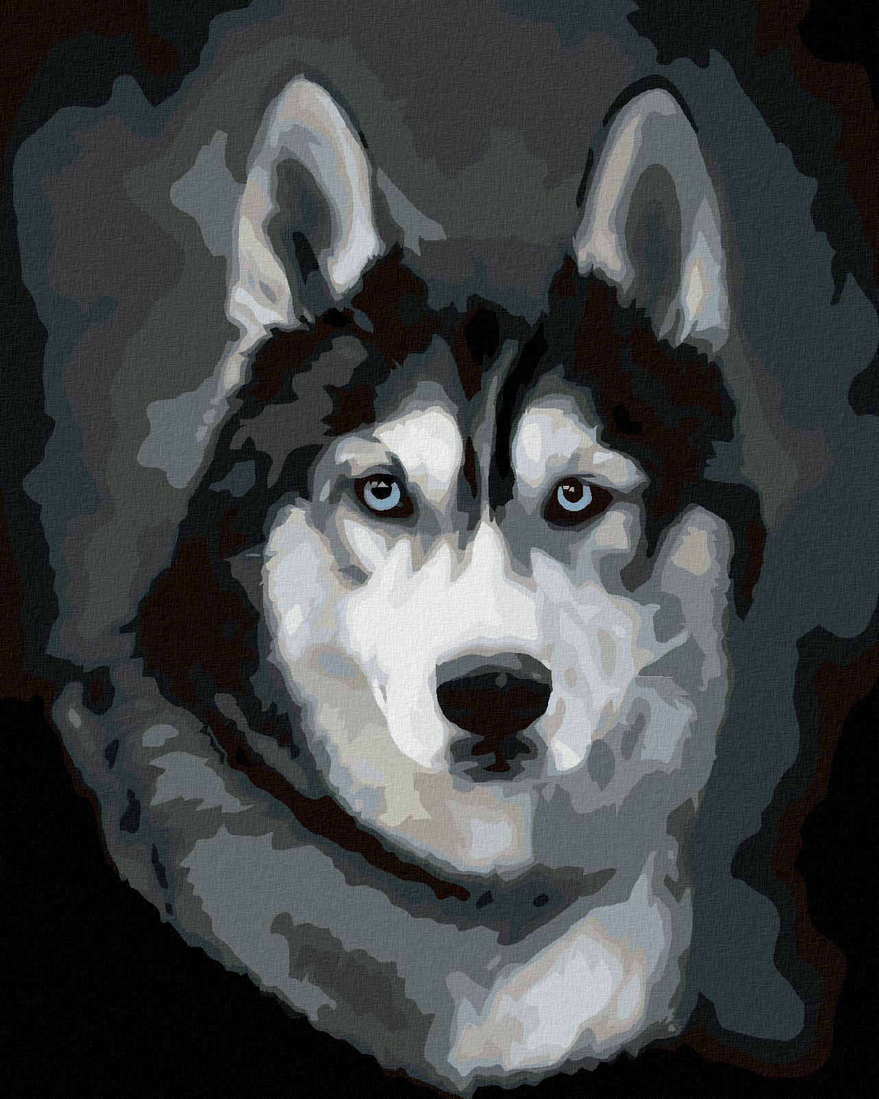 zuty Malování podle čísel - HUSKY PORTRÉT - Rozměr: 40x50 cm, Rámování: Varianta: bez rámu a bez vypnutí plátna - obrázek 1