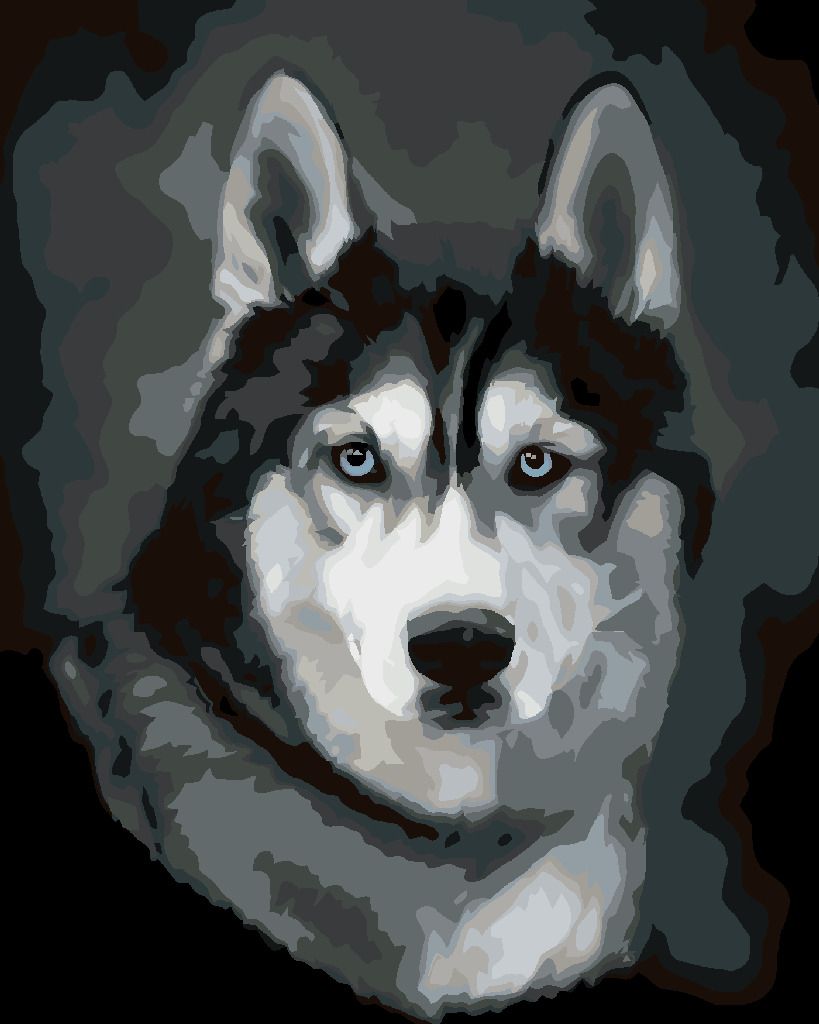 zuty Malování podle čísel - HUSKY PORTRÉT - Rozměr: 40x50 cm, Rámování: Varianta: bez rámu a bez vypnutí plátna - obrázek 5