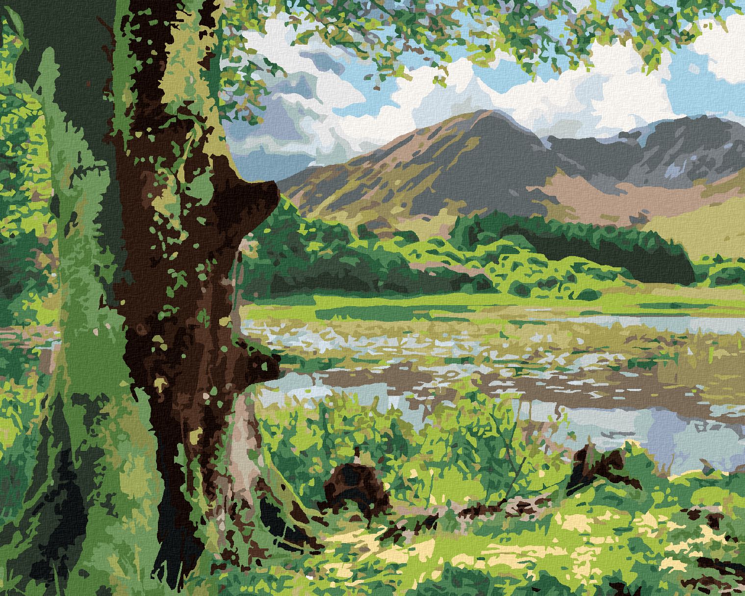 zuty Malování podle čísel - PŘÍRODA A HORY, IRSKO (TED DAVIS) - Rozměr: 40x50 cm, Rámování: Varianta: bez rámu a bez vypnutí plátna - obrázek 1