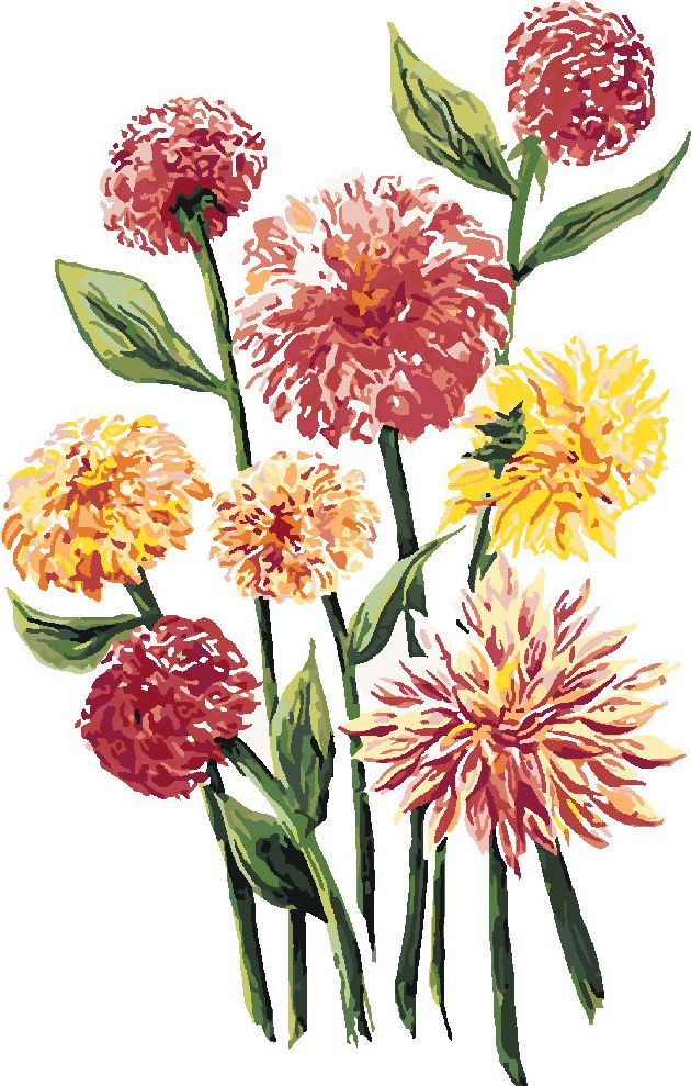 zuty Malování podle čísel - ŽLUTÉ A RŮŽOVÉ KVĚTY JIŘIN (ALEXANDRIA GILBERT) - Rozměr: 40x50 cm, Rámování: Varianta: vypnuté plátno na rám - obrázek 8