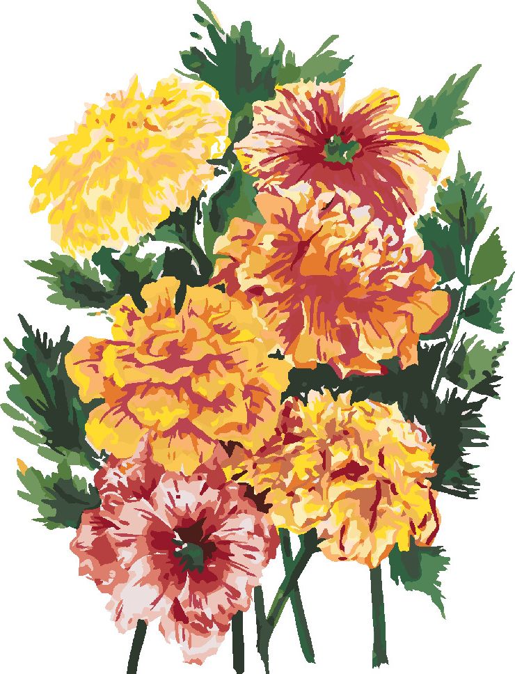 zuty Malování podle čísel - KVĚTINA MĚSÍČEK (ALEXANDRIA GILBERT) - Rozměr: 40x50 cm, Rámování: Varianta: vypnuté plátno na rám - obrázek 8