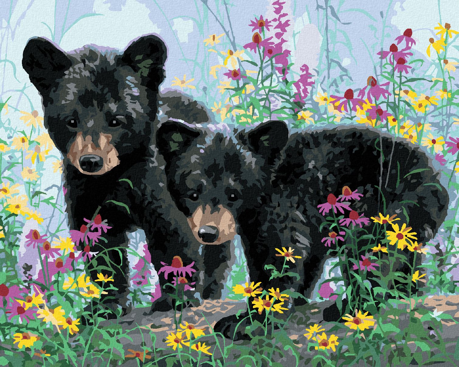 zuty Malování podle čísel - MLÁĎATA MEDVĚDA V KVĚTINÁCH (ABRAHAM HUNTER) - Rozměr: 40x50 cm, Rámování: Varianta: bez rámu a bez vypnutí plátna - obrázek 1