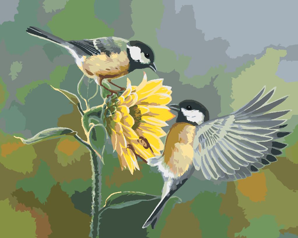 zuty Malování podle čísel - SYKORA KOŇADRA A SLUNEČNICE (ABRAHAM HUNTER) - Rozměr: 40x50 cm, Rámování: Varianta: vypnuté plátno na rám - obrázek 10