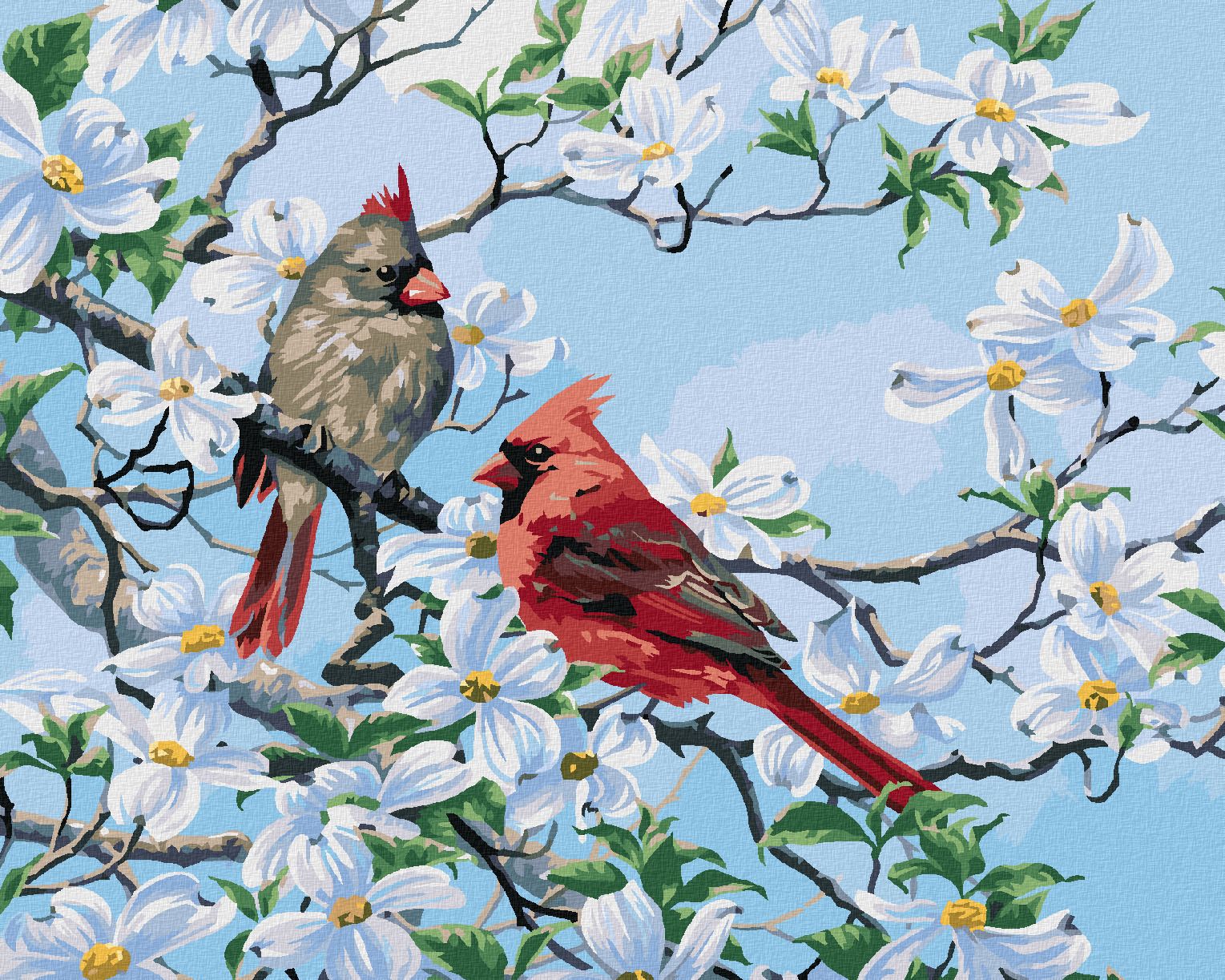 zuty Malování podle čísel - PTÁK KARDINÁL NA ROZKVETLÉ VĚTVI NA JAŘE (ABRAHAM HUNTER) - Rozměr: 40x50 cm, Rámování: Varianta: bez rámu a bez vypnutí plátna - obrázek 1