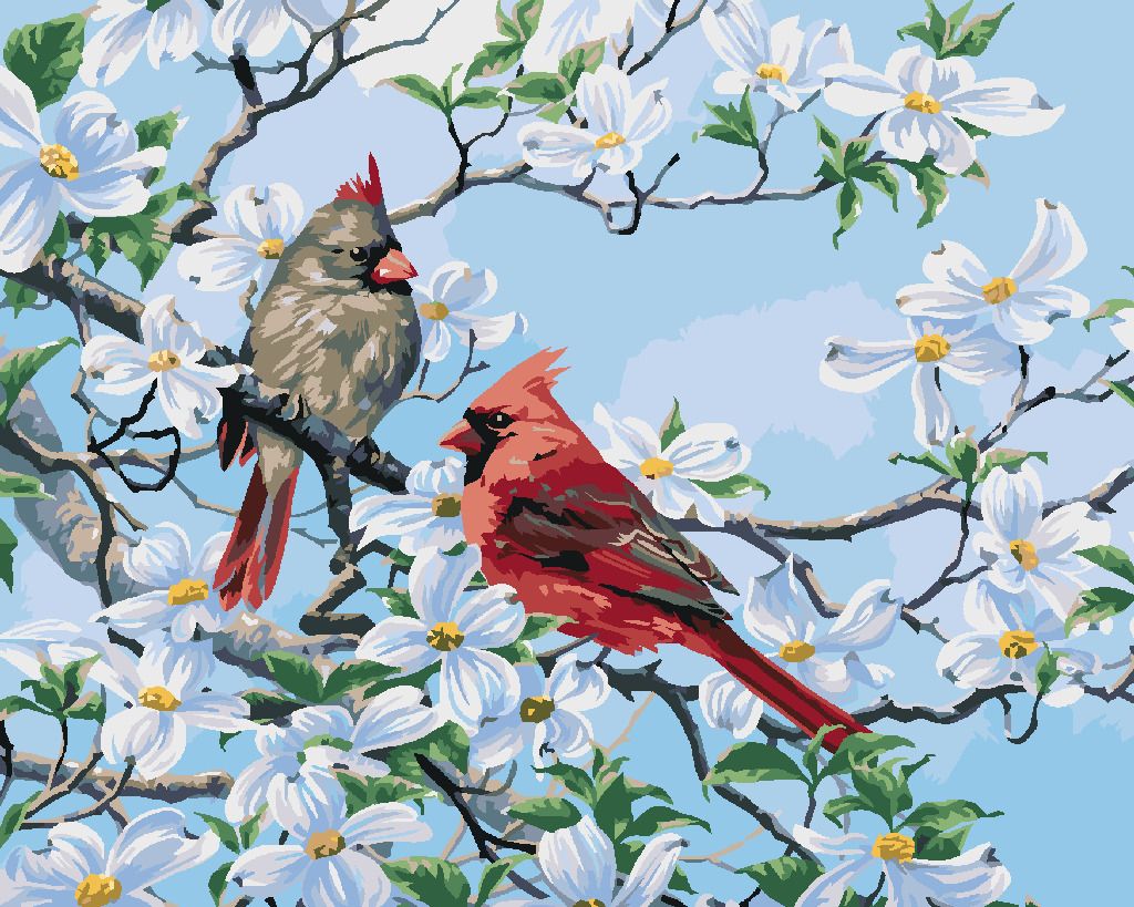 zuty Malování podle čísel - PTÁK KARDINÁL NA ROZKVETLÉ VĚTVI NA JAŘE (ABRAHAM HUNTER) - Rozměr: 40x50 cm, Rámování: Varianta: bez rámu a bez vypnutí plátna - obrázek 3