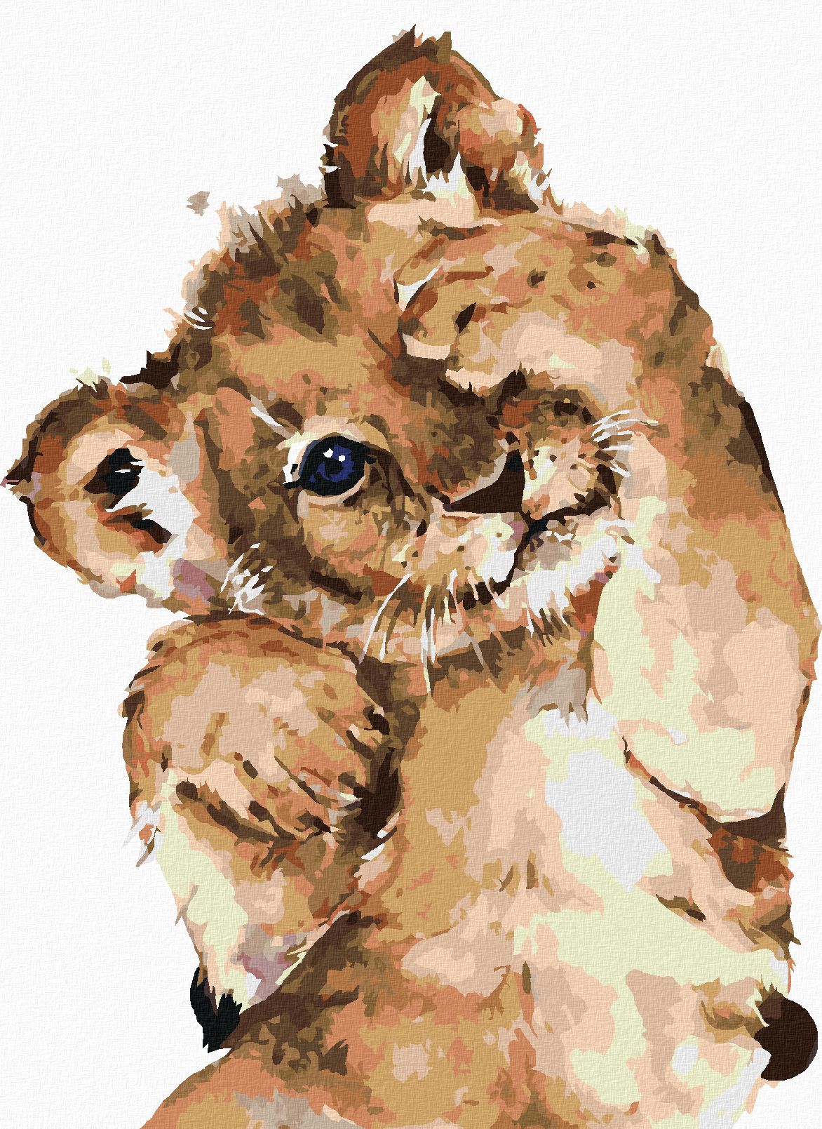zuty Malování podle čísel - STYDLIVÉ LVÍČE - Rozměr: 40x50 cm, Rámování: Varianta: vypnuté plátno na rám - obrázek 1