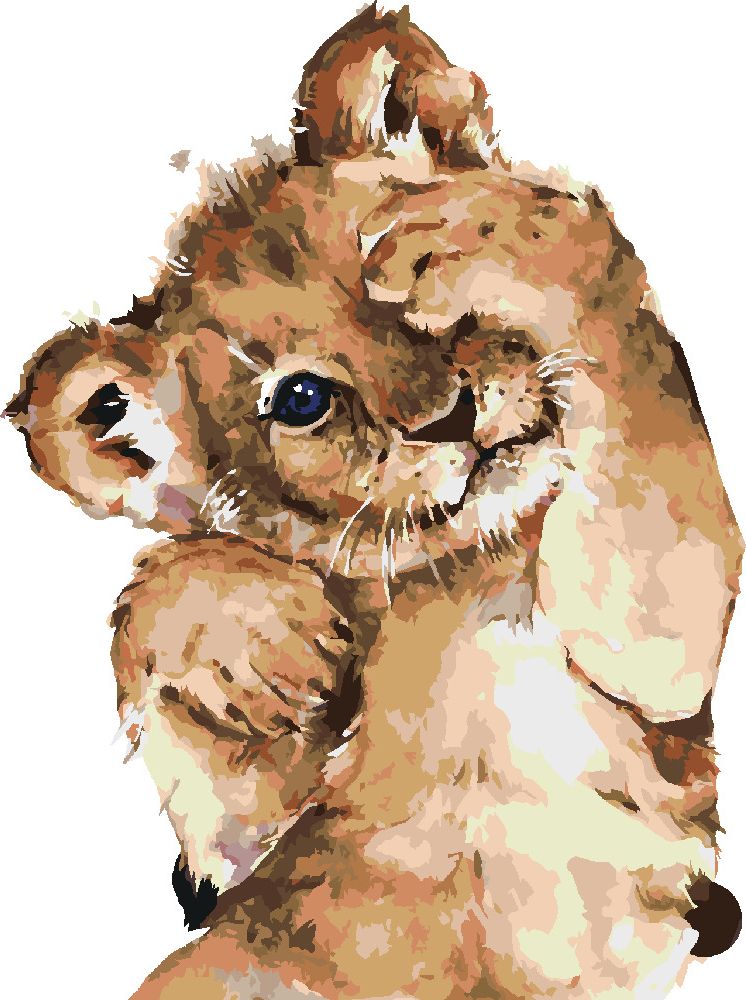 zuty Malování podle čísel - STYDLIVÉ LVÍČE - Rozměr: 40x50 cm, Rámování: Varianta: vypnuté plátno na rám - obrázek 2