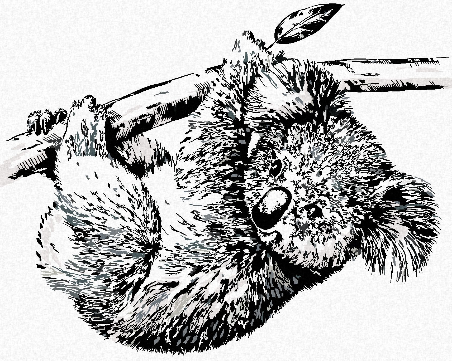 zuty Malování podle čísel - ČERNOBÍLÁ KOALA - Rozměr: 40x50 cm, Rámování: Varianta: bez rámu a bez vypnutí plátna - obrázek 1