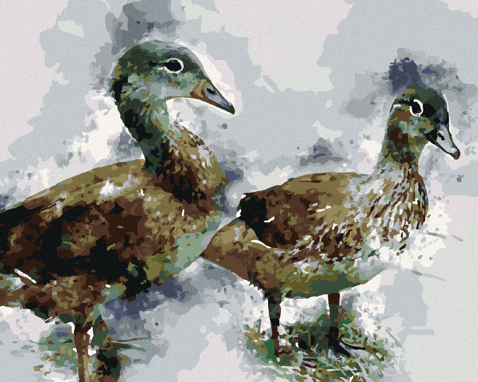 zuty Malování podle čísel - MLADÉ KACHNY - Rozměr: 40x50 cm, Rámování: Varianta: vypnuté plátno na rám - obrázek 1