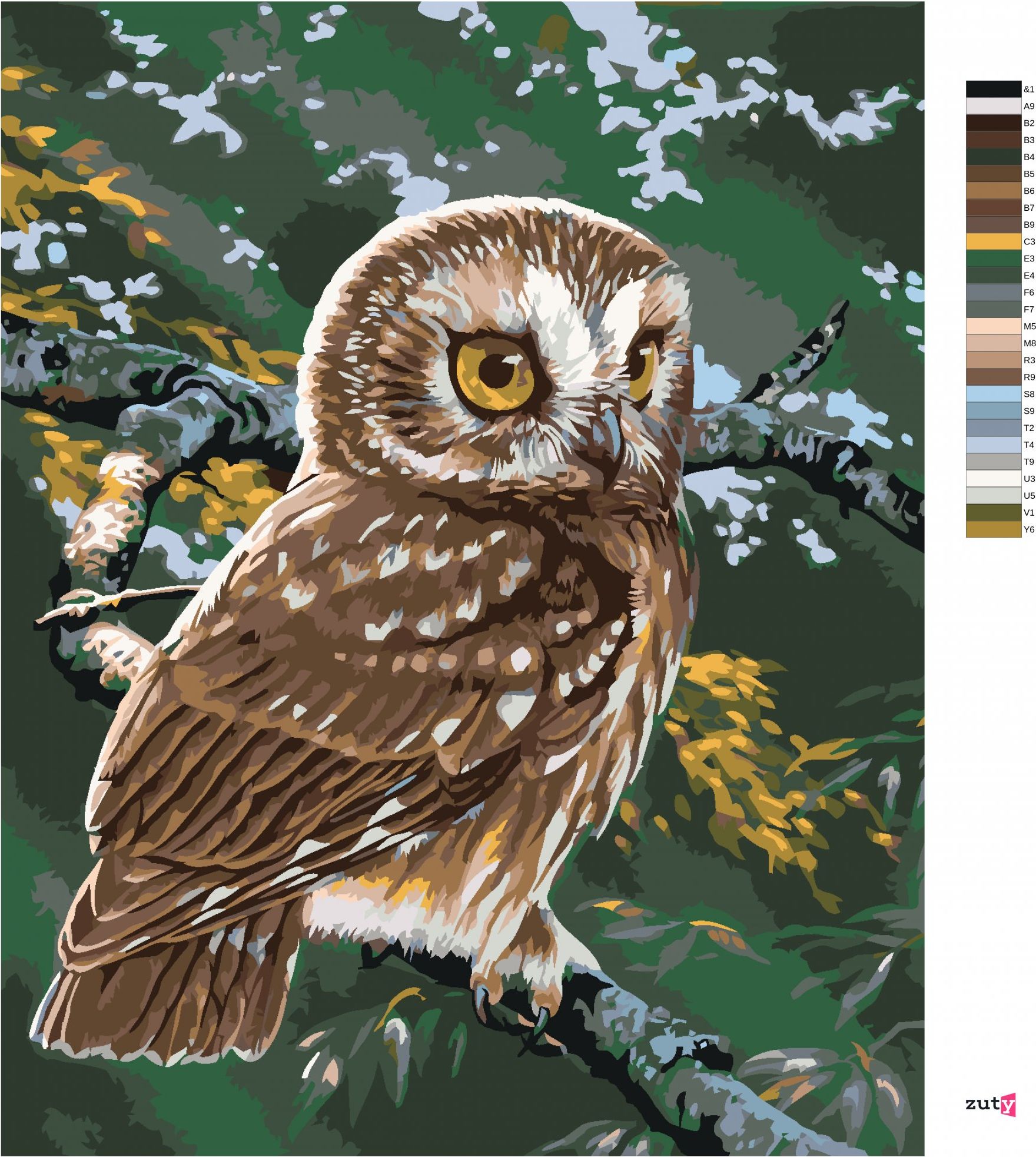 zuty Malování podle čísel - SOVA NA VĚTVI (AL AGNEW) - Rozměr: 40x50 cm, Rámování: Varianta: vypnuté plátno na rám - obrázek 4