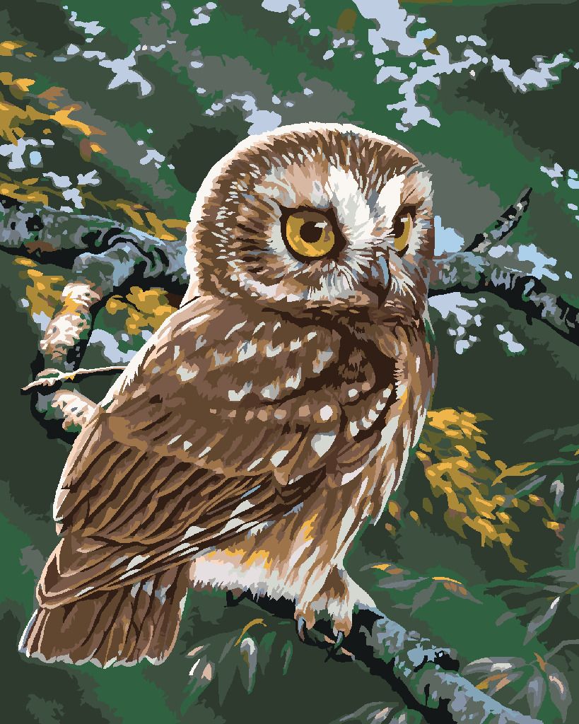 zuty Malování podle čísel - SOVA NA VĚTVI (AL AGNEW) - Rozměr: 40x50 cm, Rámování: Varianta: vypnuté plátno na rám - obrázek 6