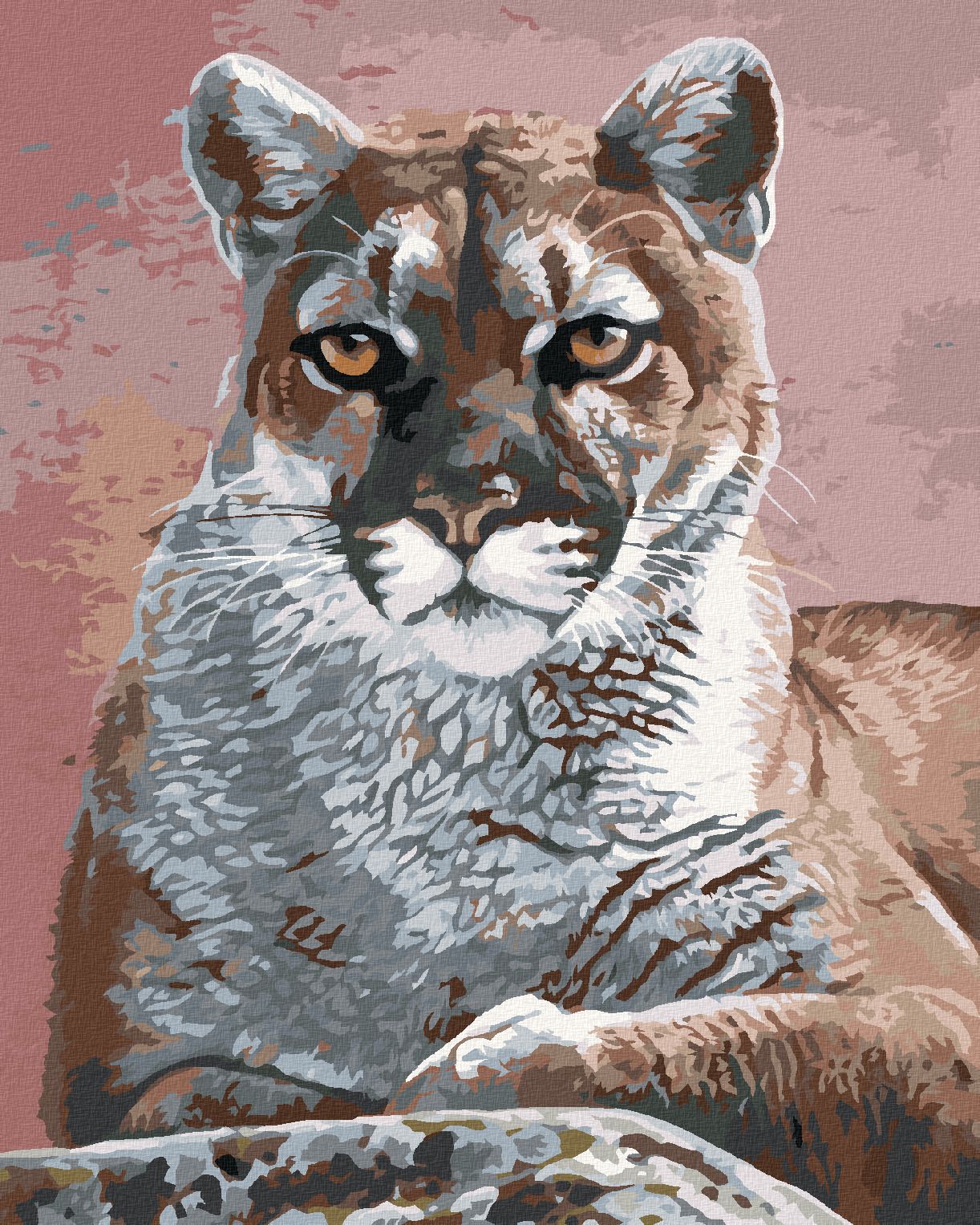 zuty Malování podle čísel - PORTRÉT PUMA (AL AGNEW) - Rozměr: 40x50 cm, Rámování: Varianta: vypnuté plátno na rám - obrázek 1