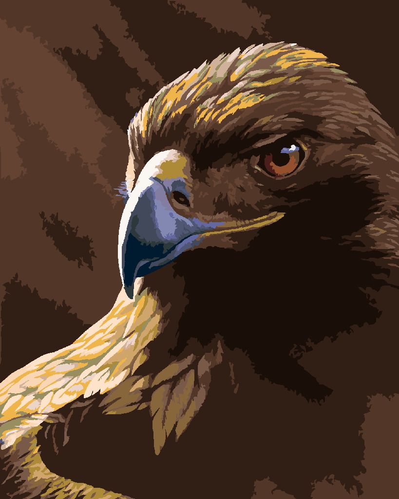 zuty Malování podle čísel - PORTRÉT OREL (AL AGNEW) - Rozměr: 40x50 cm, Rámování: Varianta: bez rámu a bez vypnutí plátna - obrázek 2