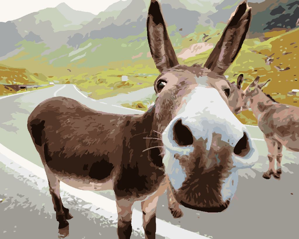 zuty Malování podle čísel - OSEL NA SILNICI - Rozměr: 40x50 cm, Rámování: Varianta: bez rámu a bez vypnutí plátna - obrázek 7