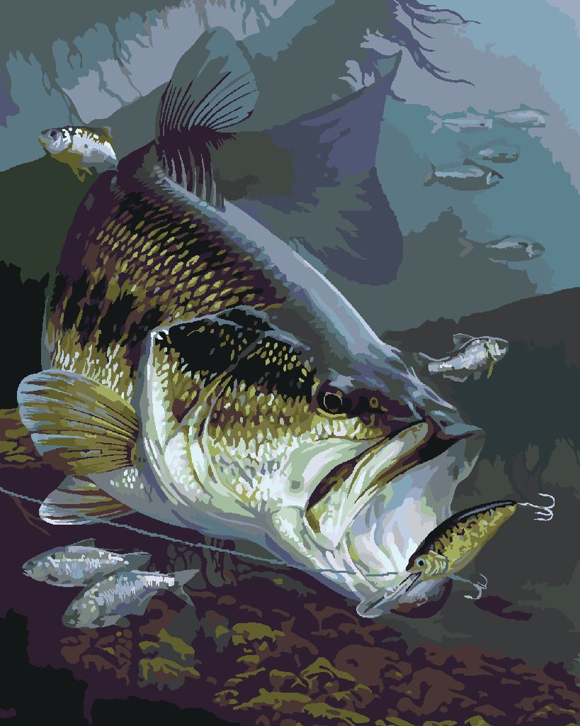 zuty Malování podle čísel - OKOUNEK PSTRUHOVÝ NA HÁČKU (AL AGNEW) - Rozměr: 40x50 cm, Rámování: Varianta: vypnuté plátno na rám - obrázek 7