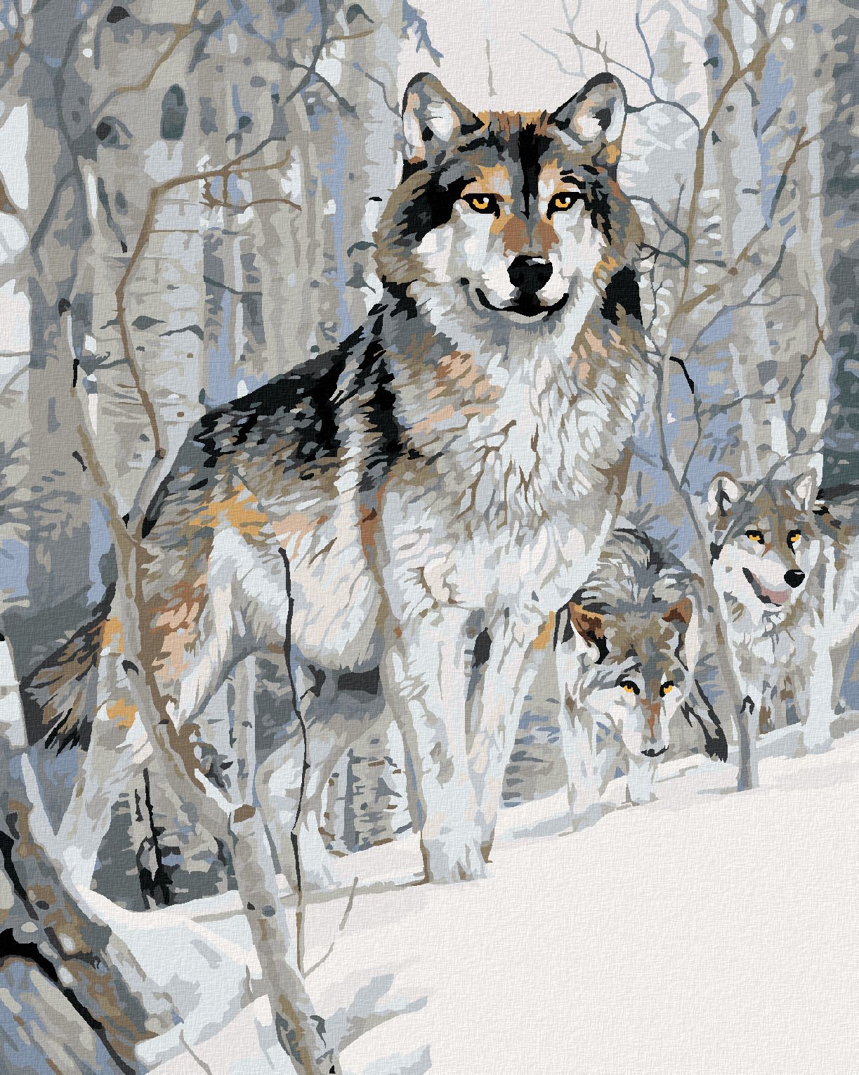 zuty Malování podle čísel - VLK A BŘÍZY V ZIMĚ (AL AGNEW) - Rozměr: 40x50 cm, Rámování: Varianta: vypnuté plátno na rám - obrázek 1