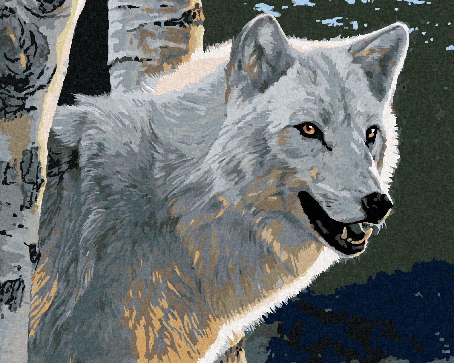 zuty Malování podle čísel - BÍLÝ VLK A BŘÍZY (AL AGNEW) - Rozměr: 40x50 cm, Rámování: Varianta: bez rámu a bez vypnutí plátna - obrázek 1