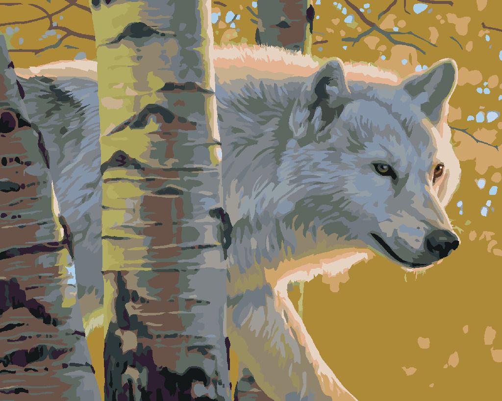 zuty Malování podle čísel - BÍLÝ VLK A BŘÍZY (AL AGNEW) - Rozměr: 40x50 cm, Rámování: Varianta: bez rámu a bez vypnutí plátna - obrázek 10