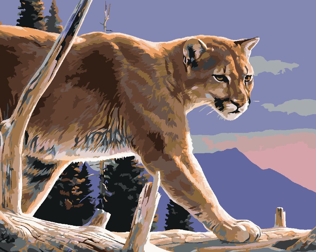 zuty Malování podle čísel - PUMA NA VĚTVI V HORÁCH (AL AGNEW) - Rozměr: 40x50 cm, Rámování: Varianta: bez rámu a bez vypnutí plátna - obrázek 10