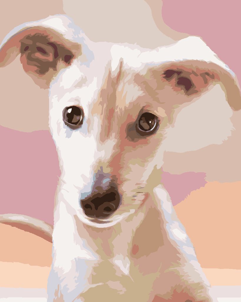 zuty Malování podle čísel – ŠTĚNĚ (CAROL CAVALARIS) - Rozměr: 40x50 cm, Rámování: Varianta: bez rámu a bez vypnutí plátna - obrázek 8