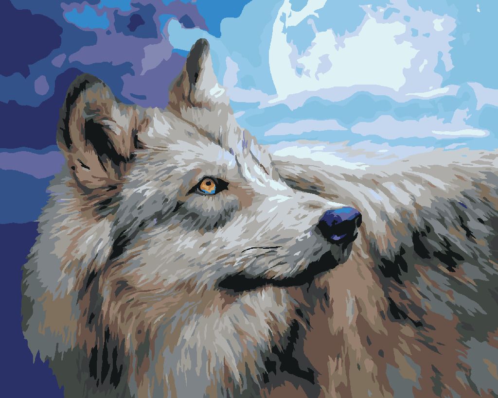 zuty Malování podle čísel – VLK A ÚPLNĚK (CAROL CAVALARIS) - Rozměr: 40x50 cm, Rámování: Varianta: vypnuté plátno na rám - obrázek 5
