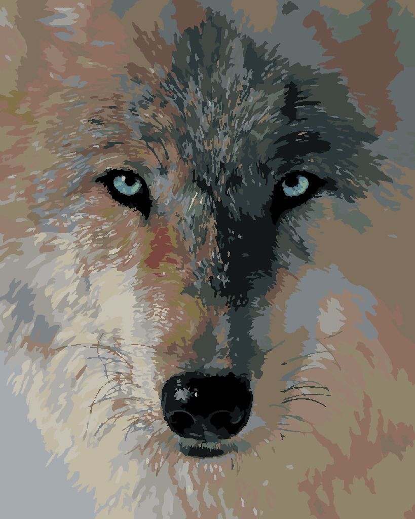 zuty Malování podle čísel – VLČÍ POHLED (COLLIN BOGLE) - Rozměr: 40x50 cm, Rámování: Varianta: vypnuté plátno na rám - obrázek 9