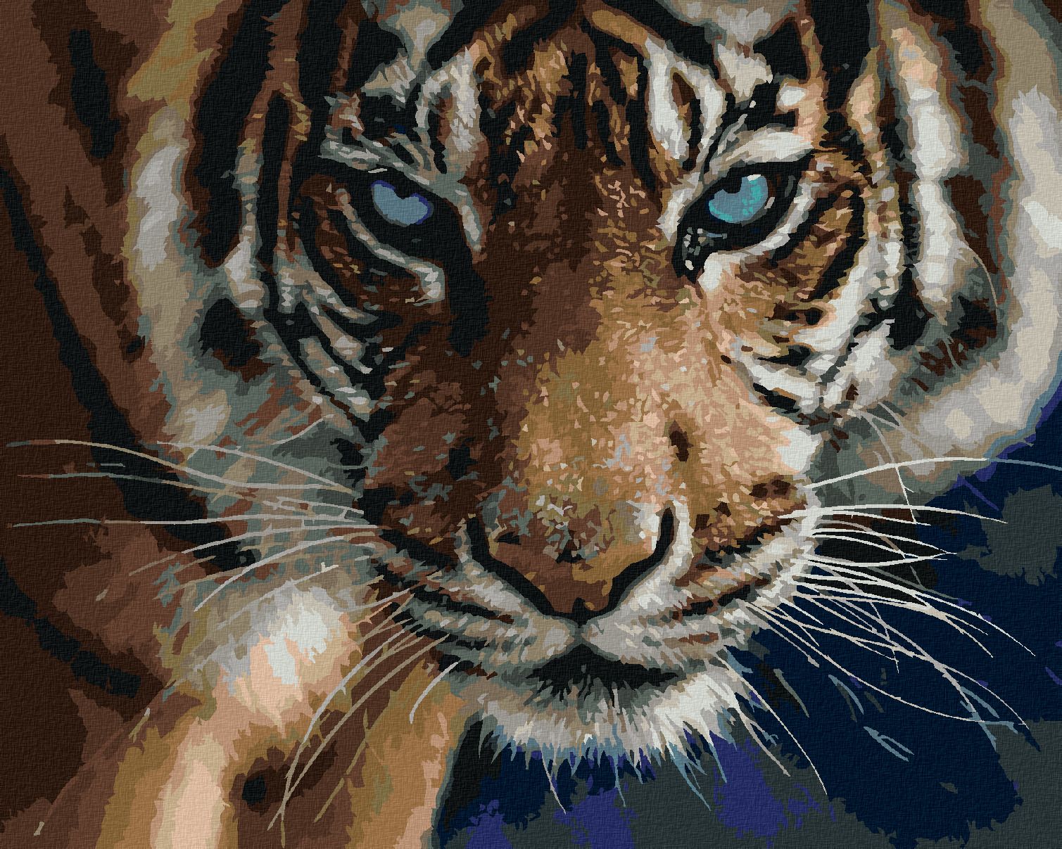 zuty Malování podle čísel – TYGR A MODRÉ OČI (COLLIN BOGLE) - Rozměr: 40x50 cm, Rámování: Varianta: bez rámu a bez vypnutí plátna - obrázek 1
