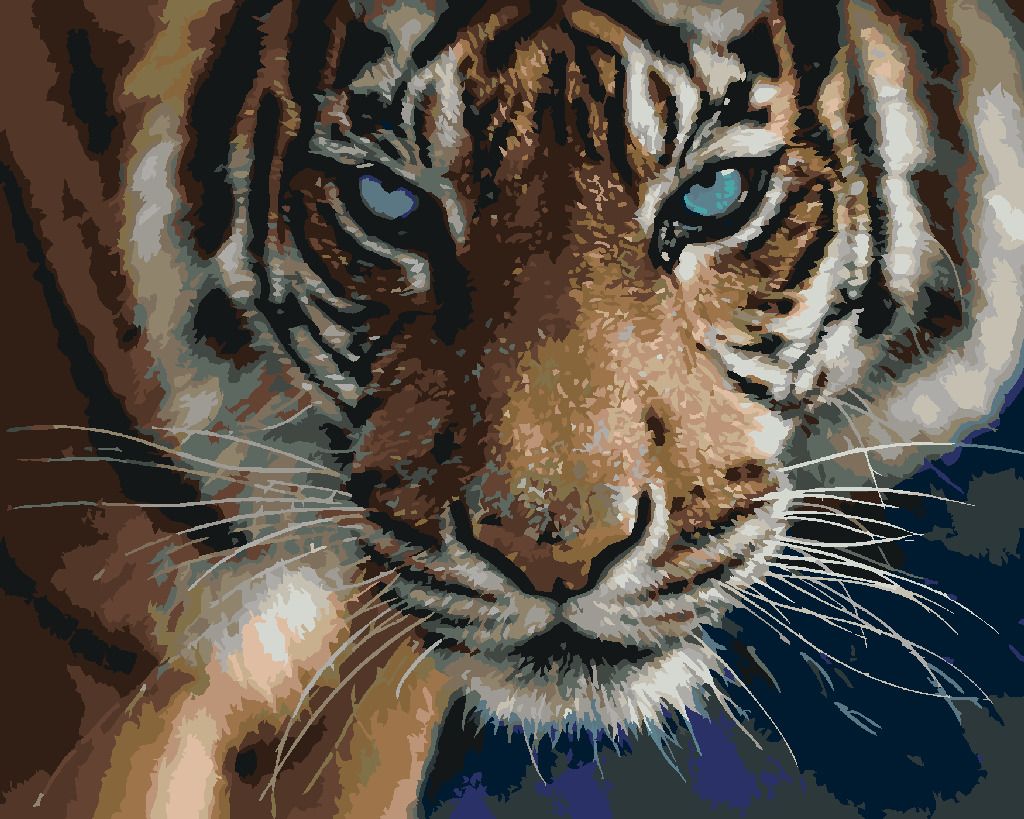 zuty Malování podle čísel – TYGR A MODRÉ OČI (COLLIN BOGLE) - Rozměr: 40x50 cm, Rámování: Varianta: bez rámu a bez vypnutí plátna - obrázek 3