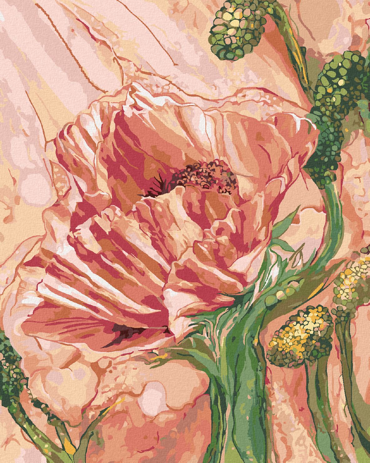 zuty Malování podle čísel - MÁK (CAROL CAVALARIS) - Rozměr: 40x50 cm, Rámování: Varianta: bez rámu a bez vypnutí plátna - obrázek 1