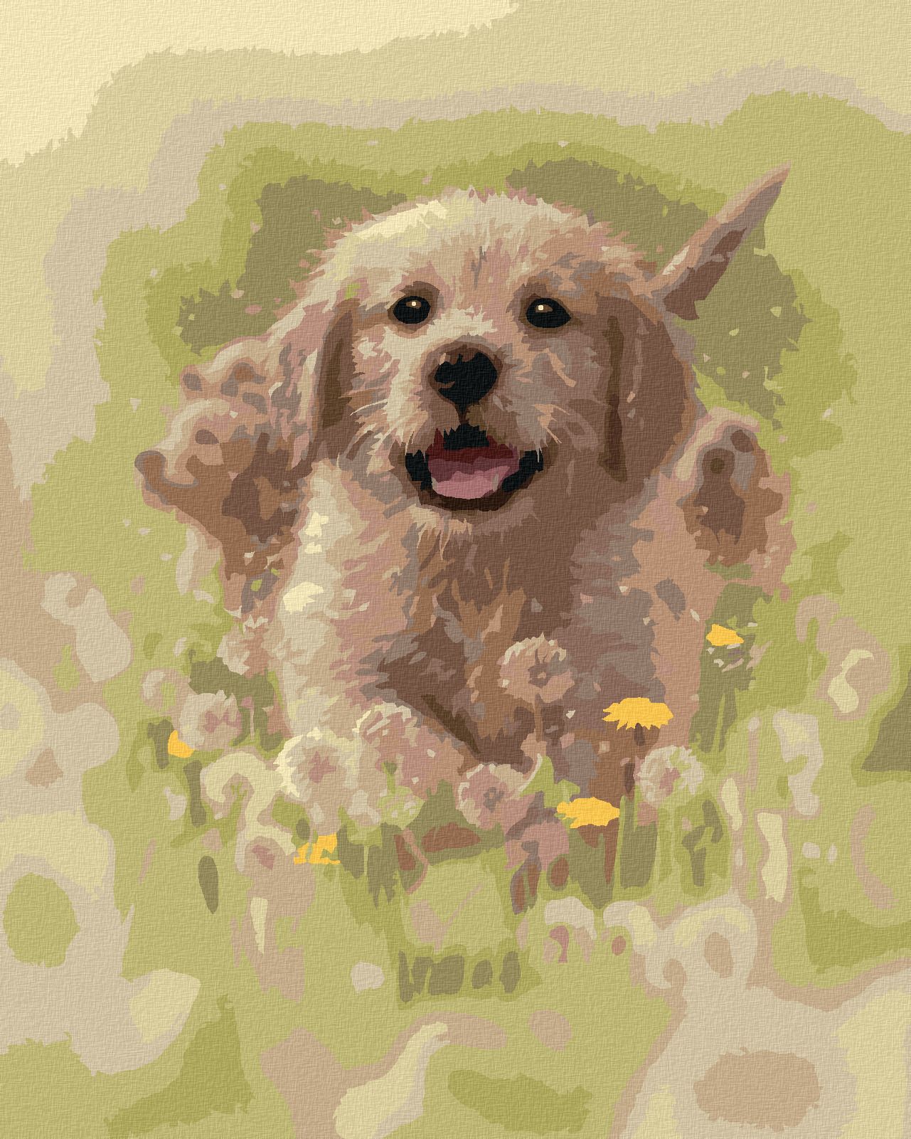zuty Malování podle čísel – ŠTĚNĚ ZLATÉHO RETRÍVRA A PAMPELIŠKY (COLLIN BOGLE) - Rozměr: 40x50 cm, Rámování: Varianta: bez rámu a bez vypnutí plátna - obrázek 1