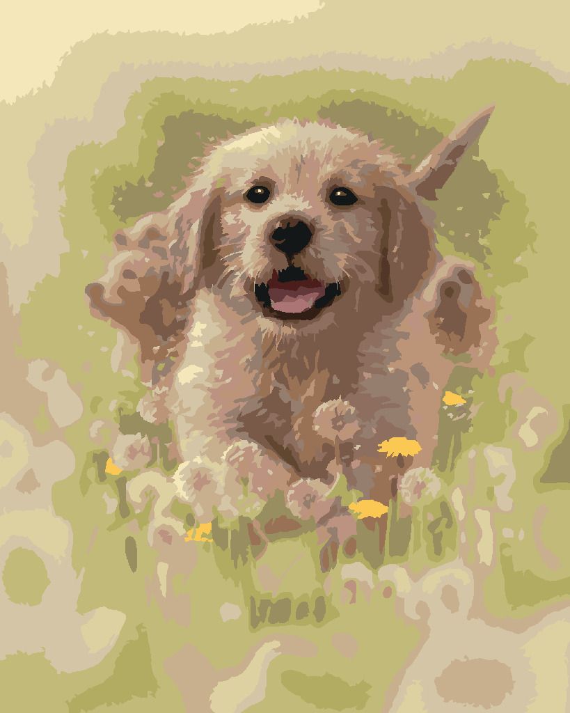 zuty Malování podle čísel – ŠTĚNĚ ZLATÉHO RETRÍVRA A PAMPELIŠKY (COLLIN BOGLE) - Rozměr: 40x50 cm, Rámování: Varianta: bez rámu a bez vypnutí plátna - obrázek 10