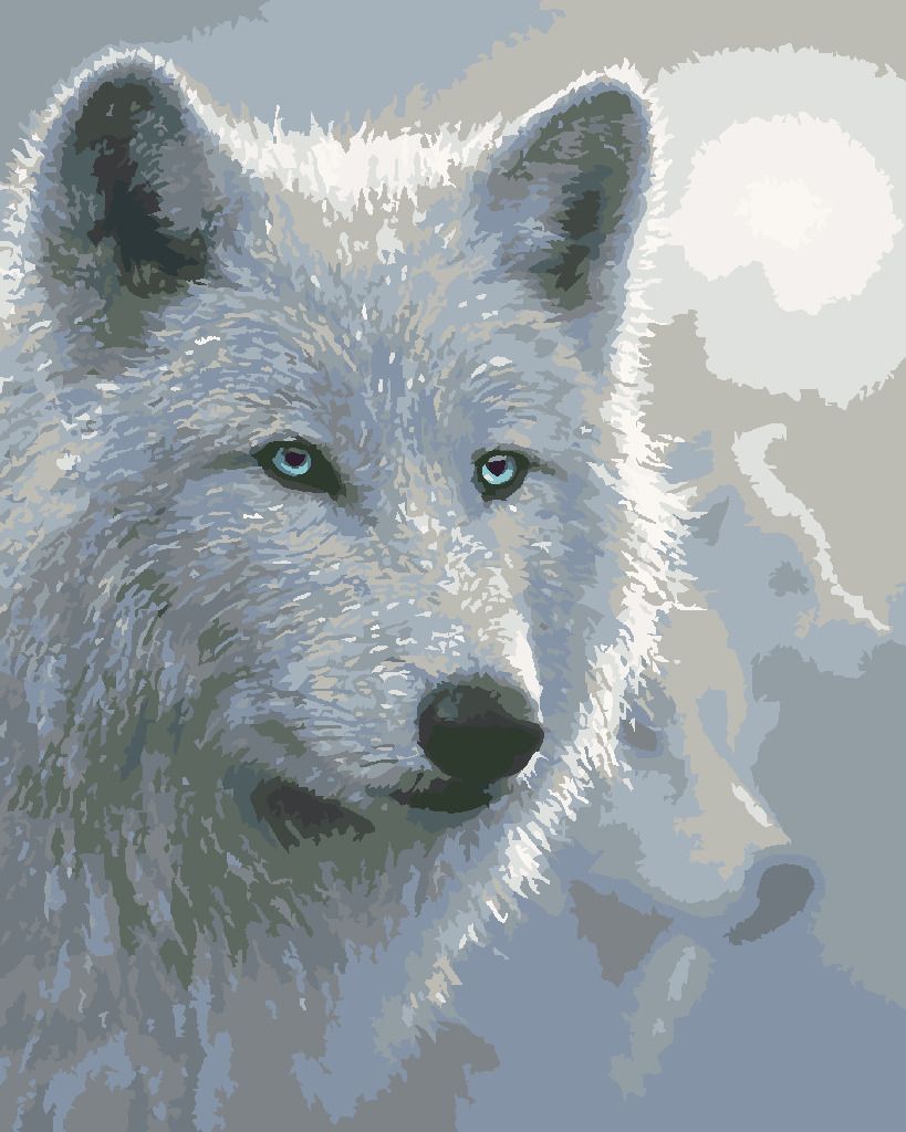 zuty Malování podle čísel – BÍLÝ VLK (COLLIN BOGLE) - Rozměr: 40x50 cm, Rámování: Varianta: bez rámu a bez vypnutí plátna - obrázek 8