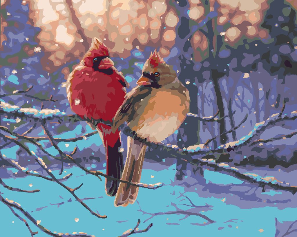 zuty Malování podle čísel - PTÁK KARDINÁL V ZIMĚ (DARRELL BUSH) - Rozměr: 40x50 cm, Rámování: Varianta: bez rámu a bez vypnutí plátna - obrázek 6