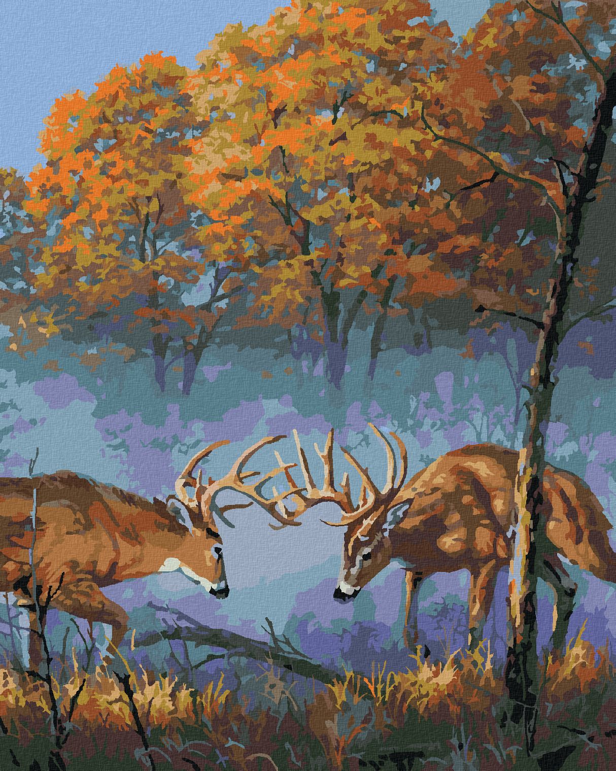 zuty Malování podle čísel - SOUBOJ JELENŮ (DARRELL BUSH) - Rozměr: 40x50 cm, Rámování: Varianta: bez rámu a bez vypnutí plátna - obrázek 1