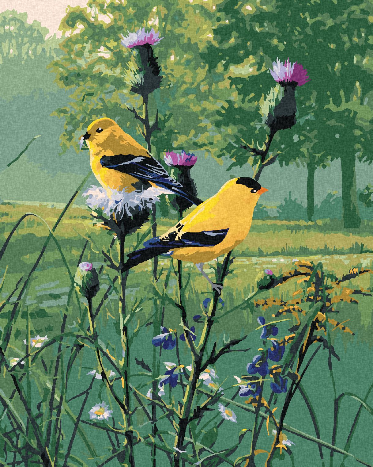 zuty Malování podle čísel – ČÍŽEK NA BODLÁKU (JAMES HAUTMAN) - Rozměr: 40x50 cm, Rámování: Varianta: vypnuté plátno na rám - obrázek 1