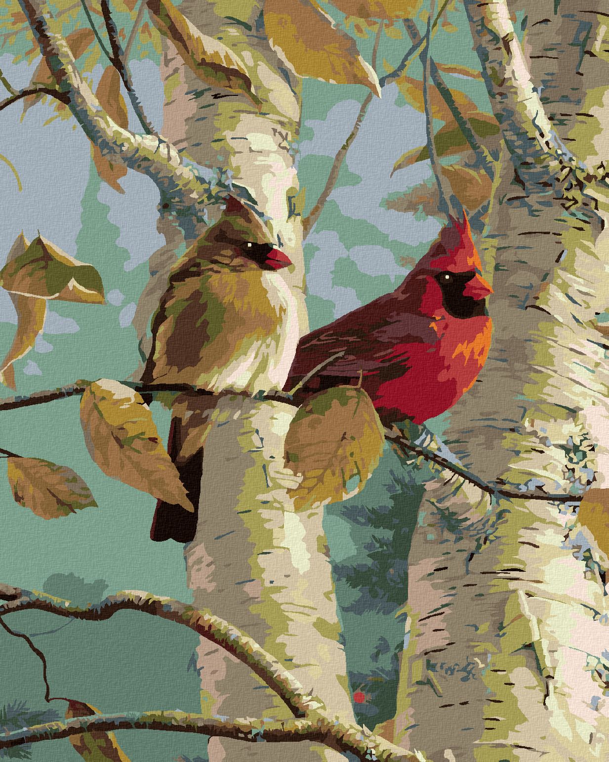 zuty Malování podle čísel – PTÁK KARDINÁL A BŘÍZA (JAMES HAUTMAN) - Rozměr: 40x50 cm, Rámování: Varianta: bez rámu a bez vypnutí plátna - obrázek 1