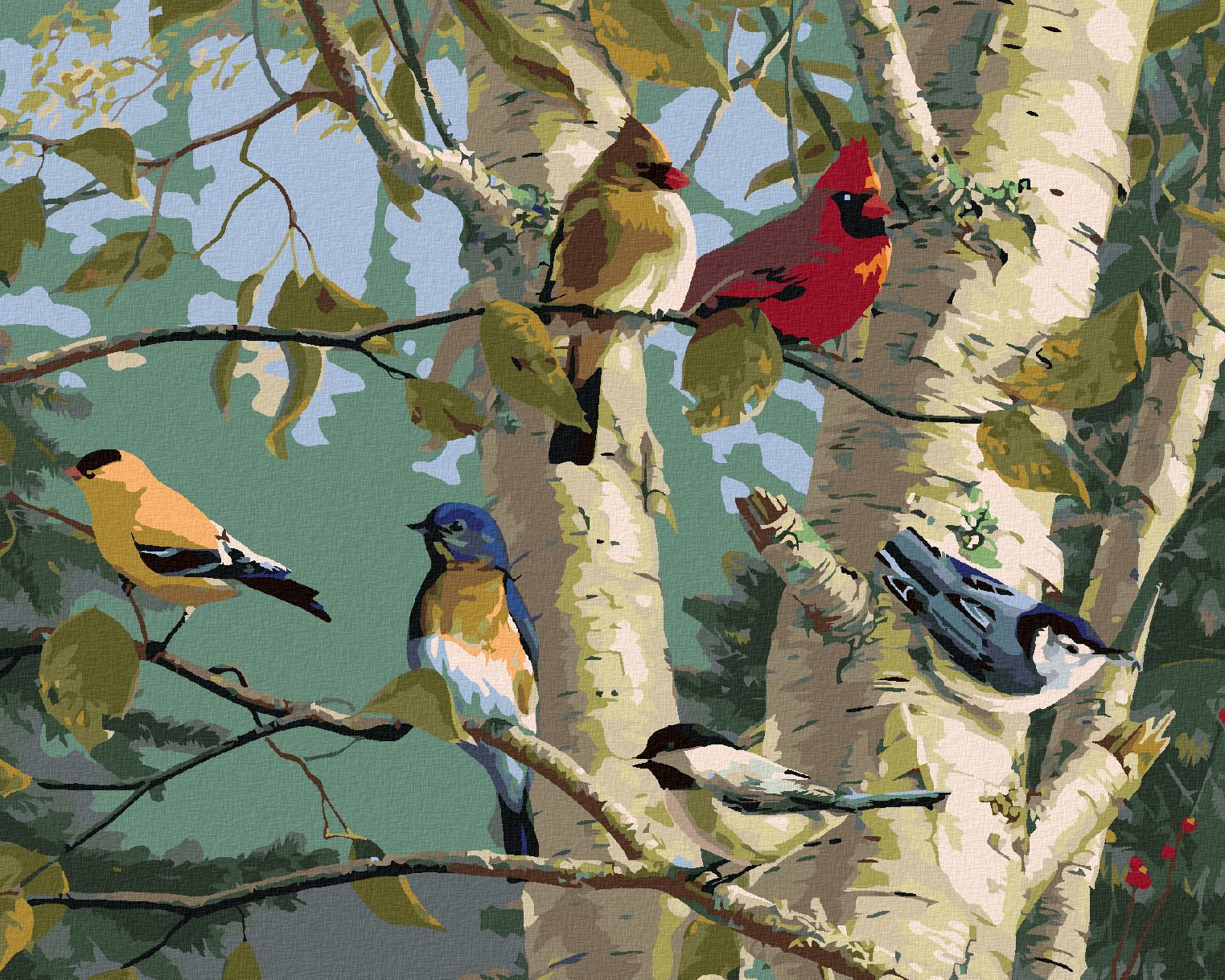 zuty Malování podle čísel – ZPĚVNÍ PTÁCI A BŘÍZA (JAMES HAUTMAN) - Rozměr: 40x50 cm, Rámování: Varianta: bez rámu a bez vypnutí plátna - obrázek 1