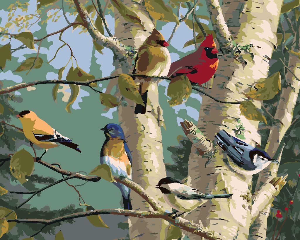 zuty Malování podle čísel – ZPĚVNÍ PTÁCI A BŘÍZA (JAMES HAUTMAN) - Rozměr: 40x50 cm, Rámování: Varianta: bez rámu a bez vypnutí plátna - obrázek 9