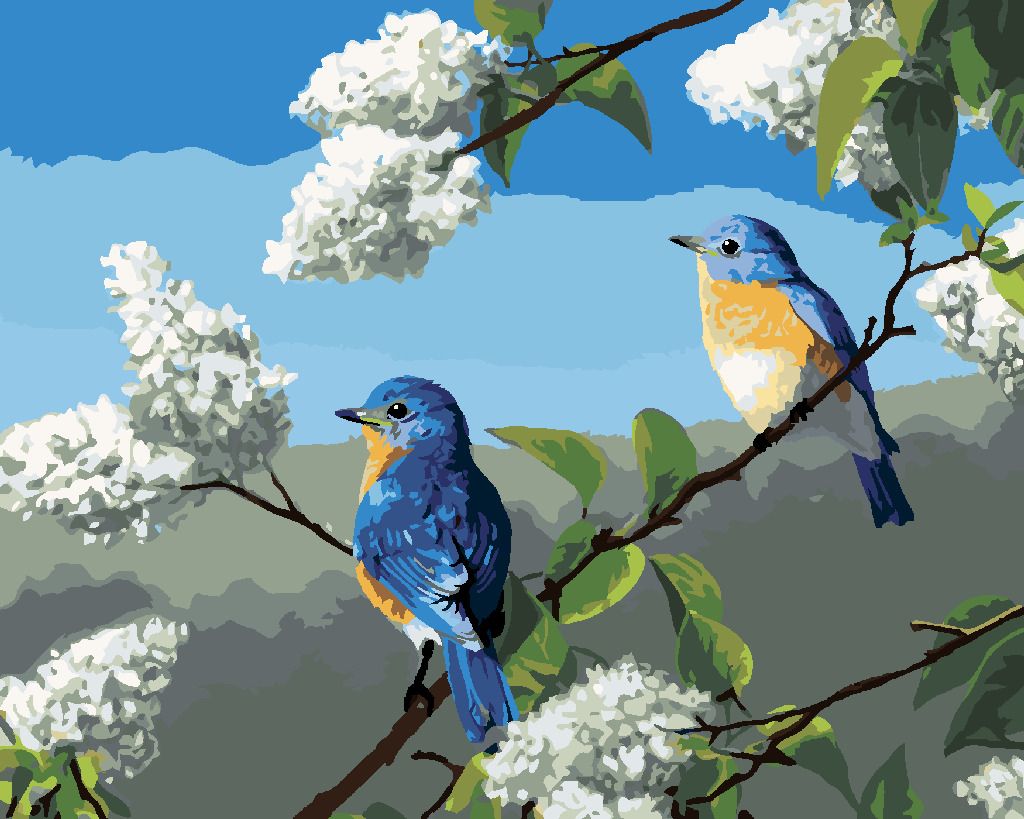 zuty Malování podle čísel - PTÁK SALAŠNÍK A ŠEŘÍK (ROBERT HAUTMAN) - Rozměr: 40x50 cm, Rámování: Varianta: vypnuté plátno na rám - obrázek 8