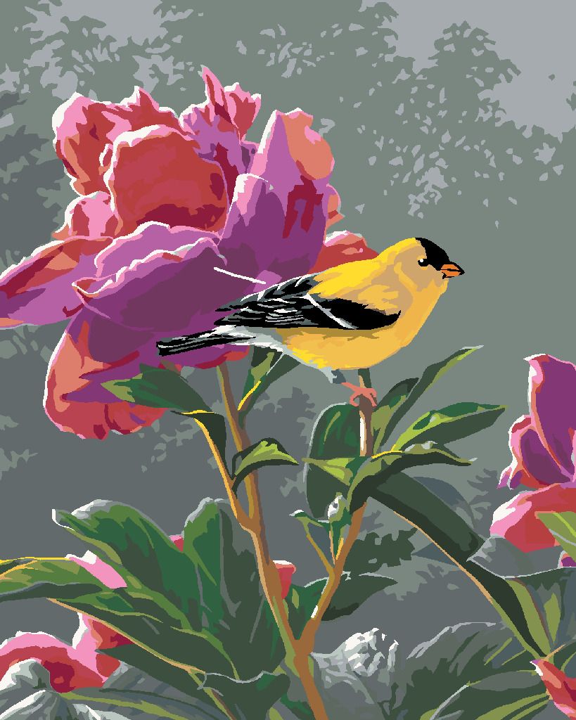 zuty Malování podle čísel – ČÍŽEK A PIVOŇKY (JAMES HAUTMAN) - Rozměr: 40x50 cm, Rámování: Varianta: bez rámu a bez vypnutí plátna - obrázek 9