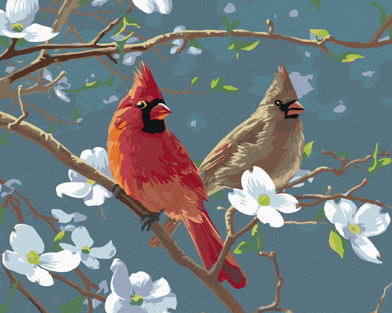 zuty Malování podle čísel – PTÁK KARDINÁL NA VĚTVI DŘÍNY (JAMES HAUTMAN) - Rozměr: 40x50 cm, Rámování: Varianta: vypnuté plátno na rám - obrázek 1