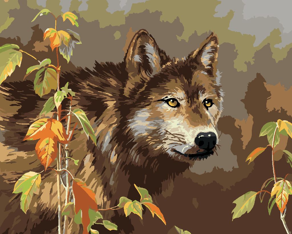 zuty Malování podle čísel – VLK A LISTY (JAMES HAUTMAN) - Rozměr: 40x50 cm, Rámování: Varianta: vypnuté plátno na rám - obrázek 2